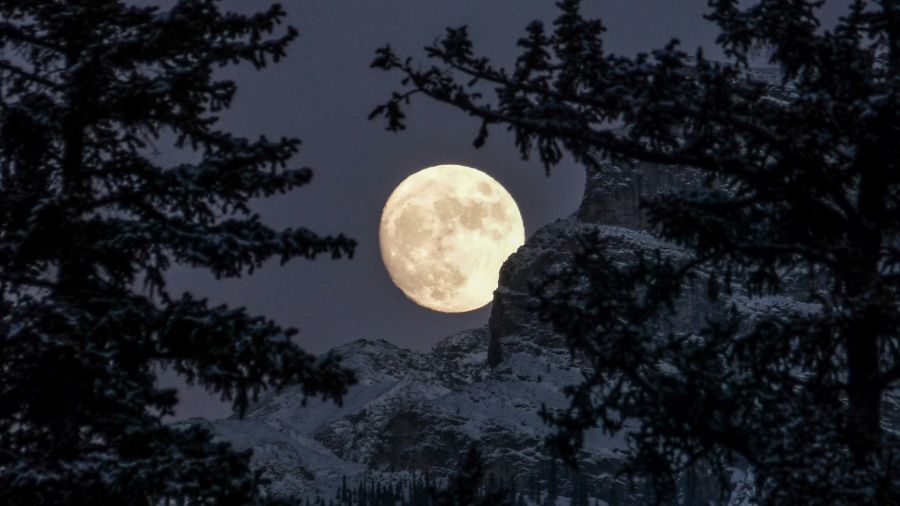 <who>Photo credit: Kym MacKinnon on Unsplash</who>February's full moon is aptly called the snow moon.