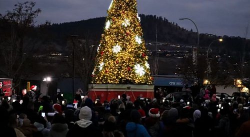 'Amazingly large cost': Kelowna to spend $300K on 2 new Christmas trees