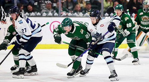 Vees drop series opener to Silvertips, will aim for split in Everett on Saturday